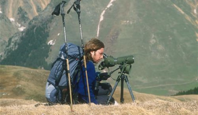 sureyya-isfendiyaroglu